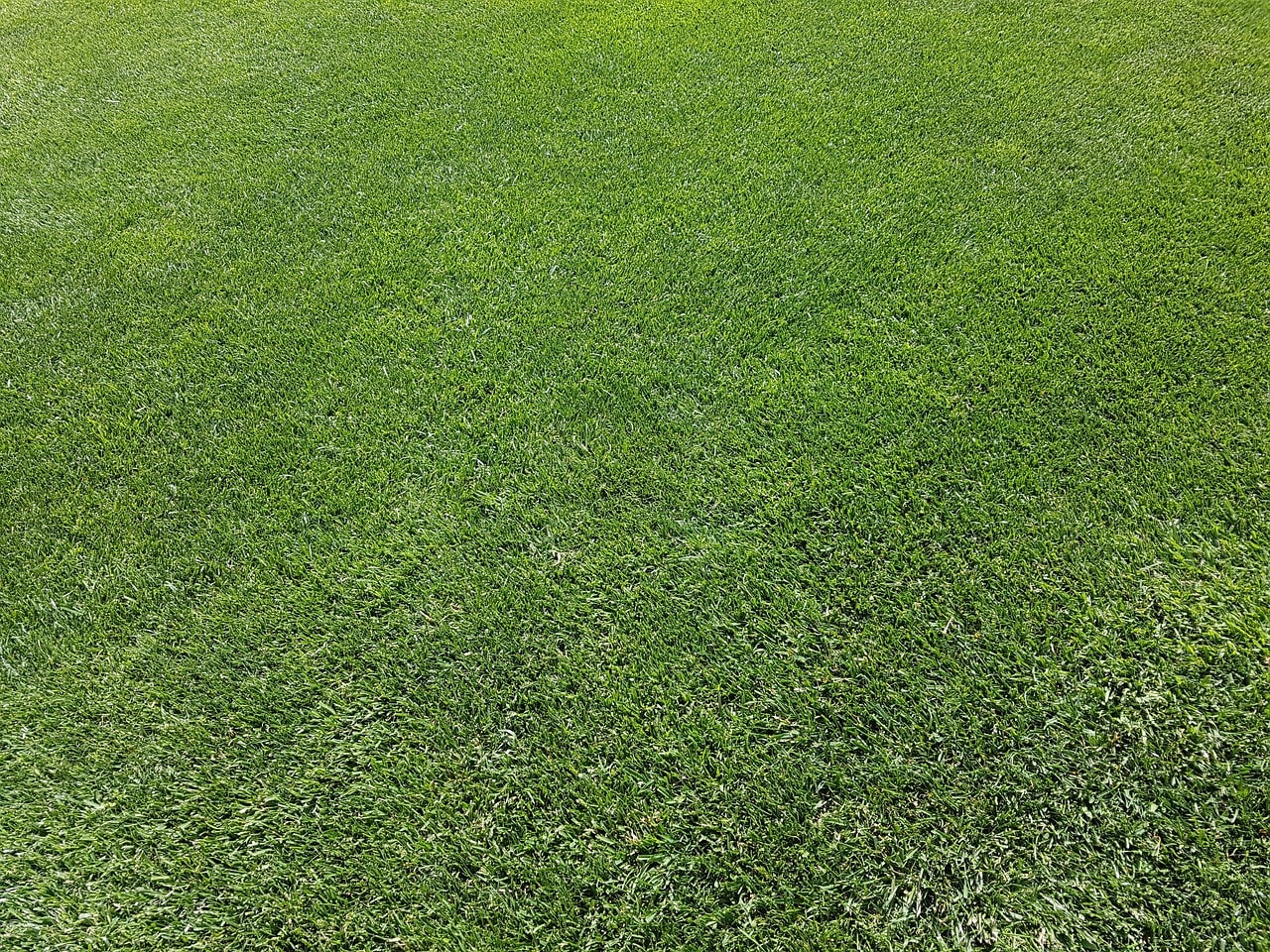 Pest and Disease Management  Services