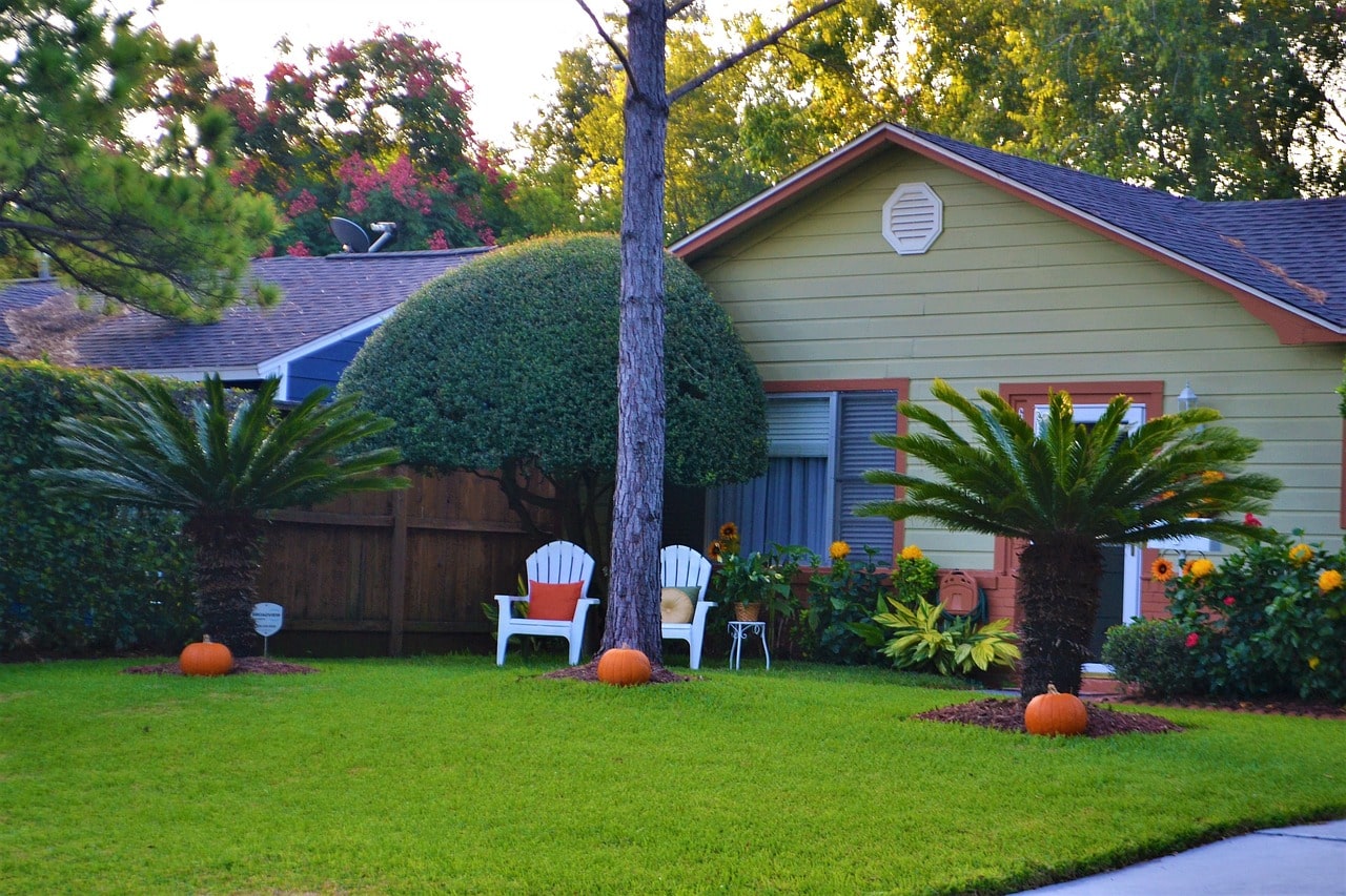 About SHADOW CIRCUS LAWN CARE