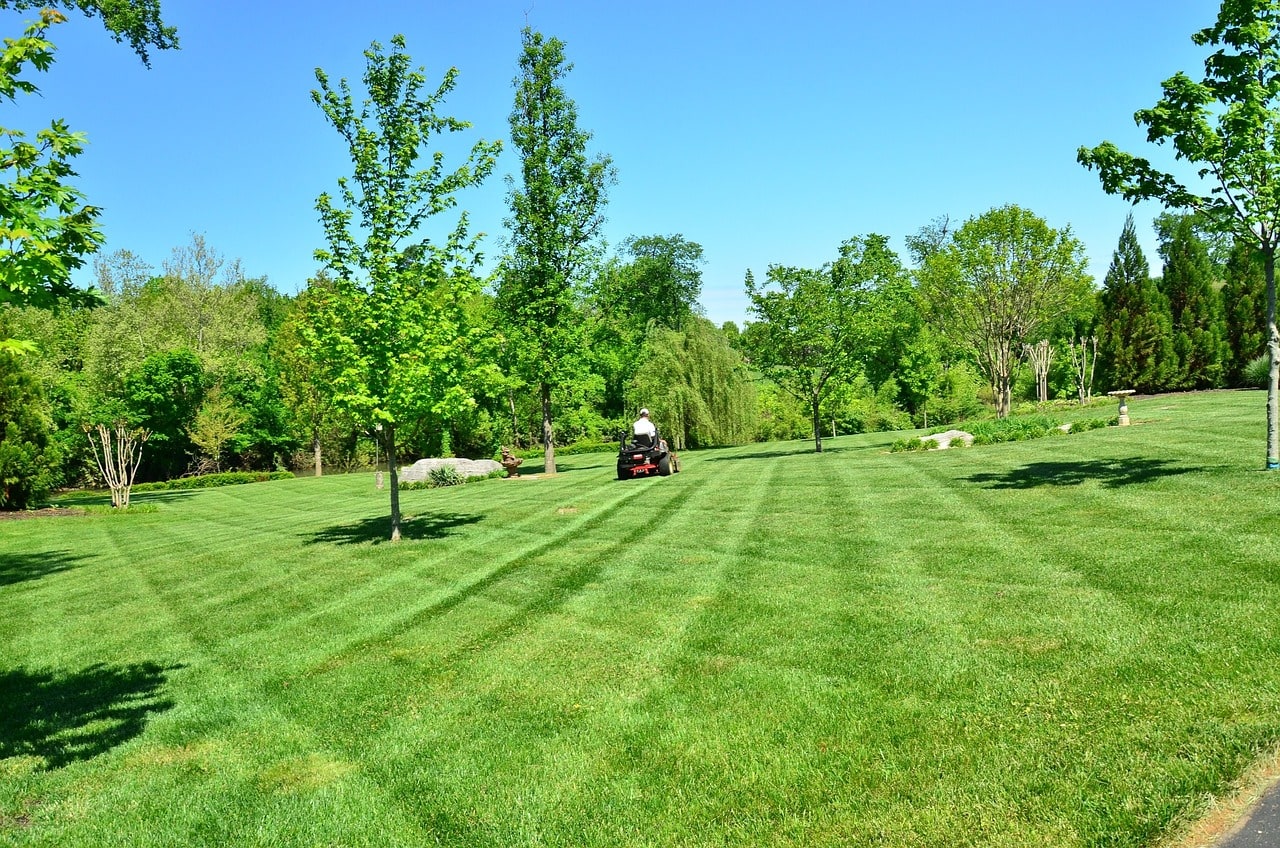 Hardscaping  Services